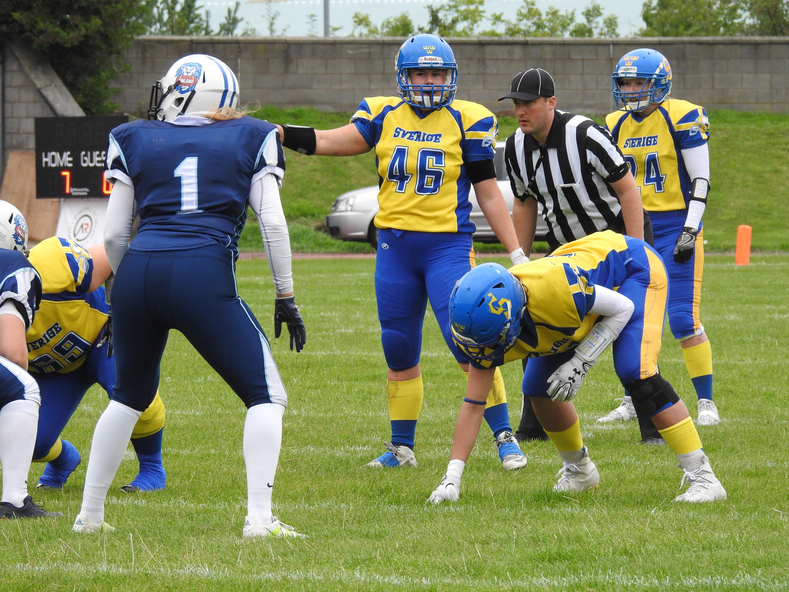 En uppdatering av arbetet kring damlandslaget i amerikansk fotboll