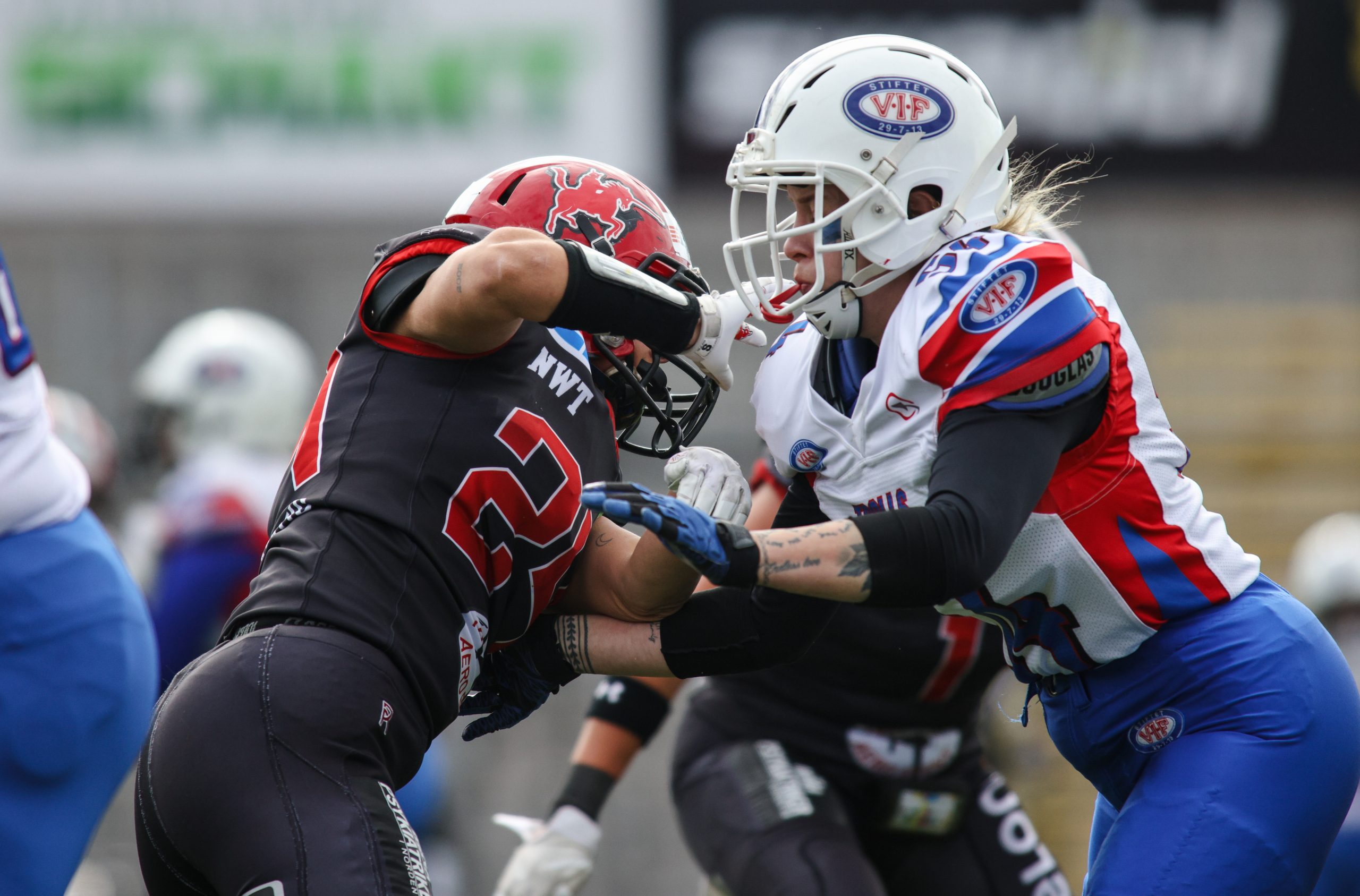 Förutsättningar inför slutomgången i Division 1 Dam